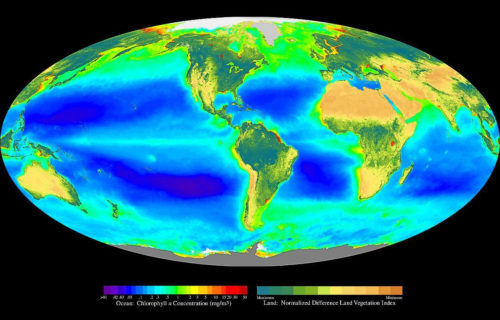 Weltkarte mit farblich dargestellten Chlorophyllgehalt an Land und im Meer September 1997-August1998.