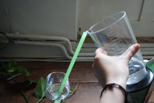 Salzwasser wird mit Hilfe von Strohalm ins Glas gefuellt
