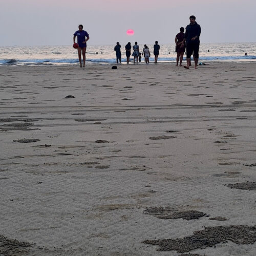 Ein Bild von Goa Beach, Indien, bei Sonnenuntergang. Im Vordergrund ist der Sand in kleine Kügelchen aufgerollt, stellenweise