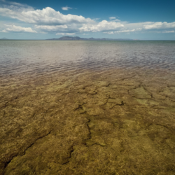 eine ruhige Wasserfläche die sich bis weit in die Ferne ersteckt, am Horizont ist ein Inselzug unter ienem blauen Himmel mit vereinzelten Wolekn erkennbar. Das Wasser ist klar, jedoch kann man unter der Wasseroberfläche nur gelb-braunen Boden erkennen und es ist keine SPur von Leben zu sehen.